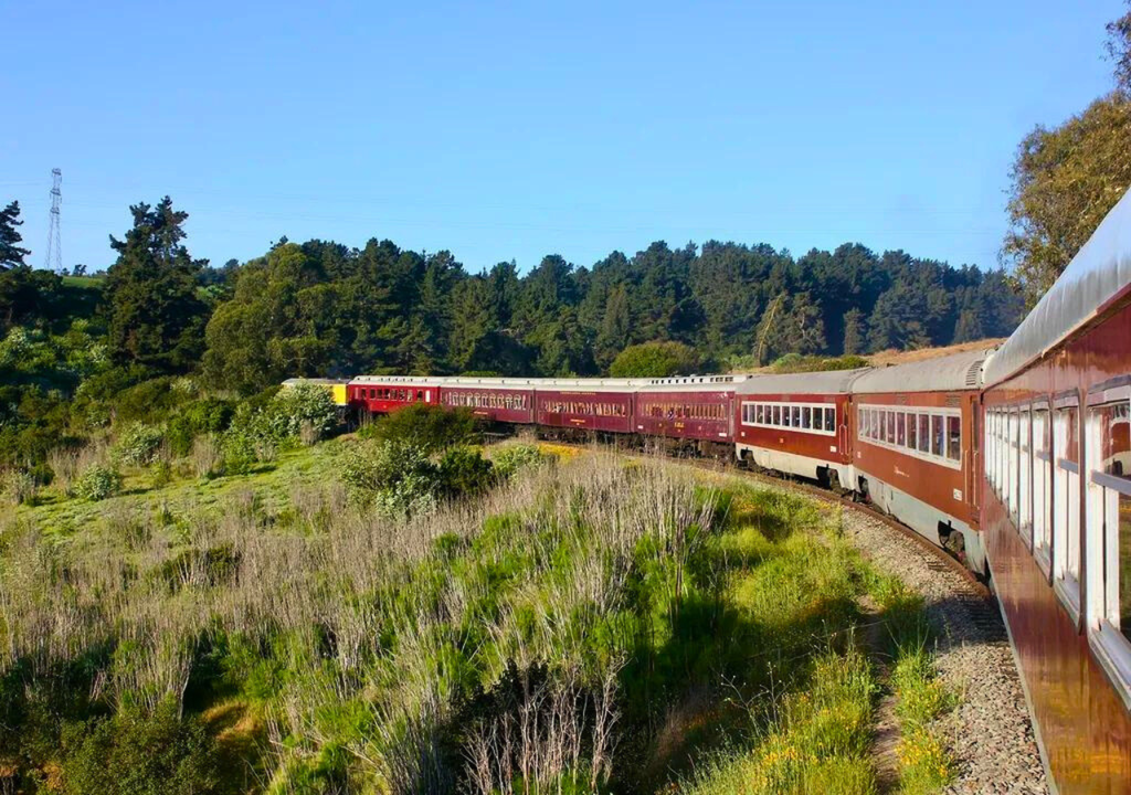 Tren del Recuerdo. Tren del Recuerdo.