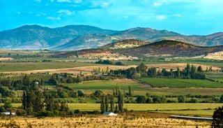 El valle patrimonial que sorprende con sus paisajes y vinos a solo 3 horas de Santiago