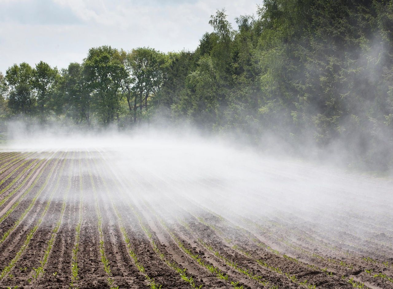 El Vapor De Agua