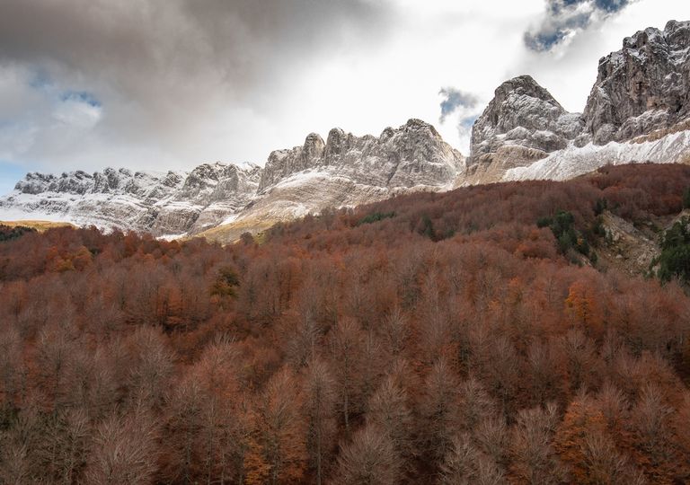 Un otoño de Un otoño de