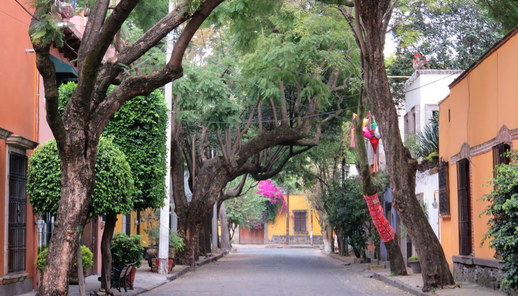 Coyoacán es uno de los barrios históricos más famosos de la capital. Ofrece una vista al pasado ceremonial, museos y opciones gastronómicas únicas.