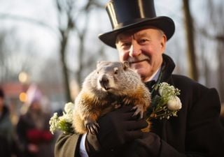 O veredicto da Marmota Phil em 2025! Esta é a sua previsão de frio e neve para as próximas semanas