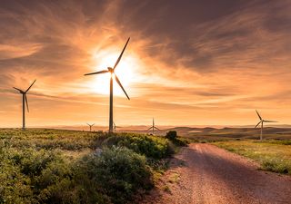 Energía eólica: qué es y cómo se genera en los parques "top" del mundo