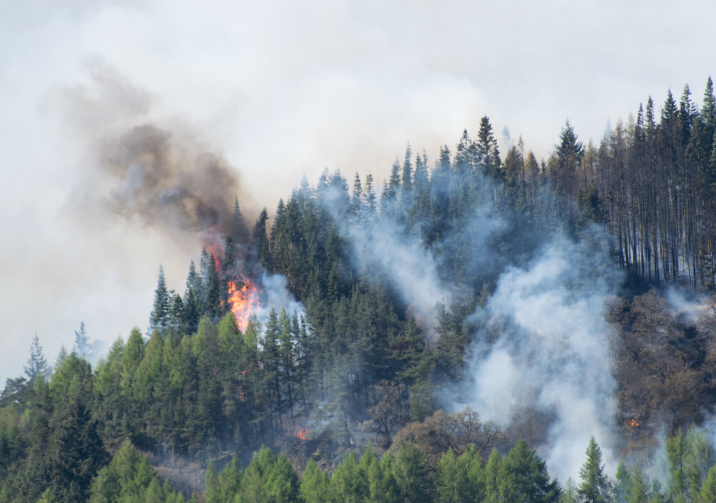Incendio forestal Incendio forestal
