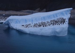 El viernes 28 de noviembre Ushuaia será sede del Congreso Antártico 2025