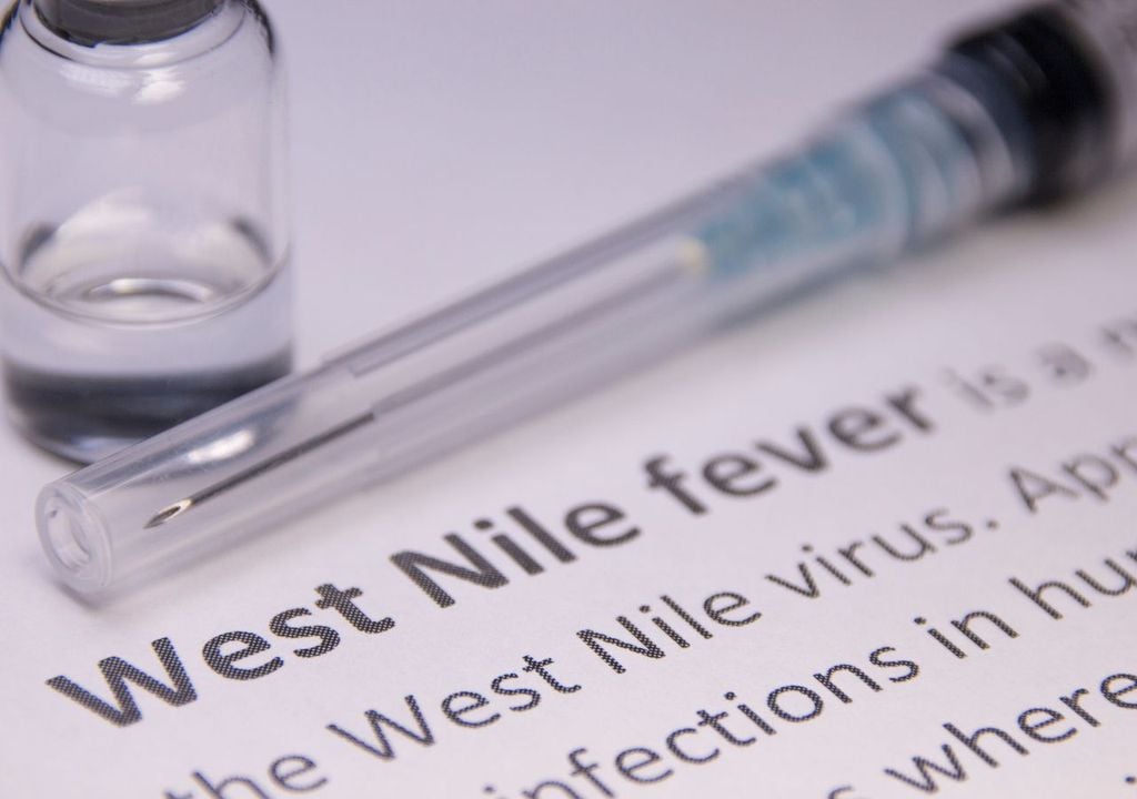 Virus del Nilo Virus del Nilo
