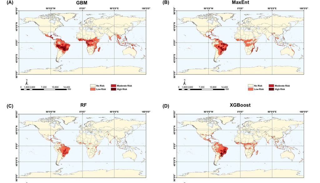 distribución aedes aegypti Los mapas muestran la idoneidad del hábitat para Ae. aegypti en las condiciones climáticas actuales, según las proyecciones de cuatro algoritmos distintos