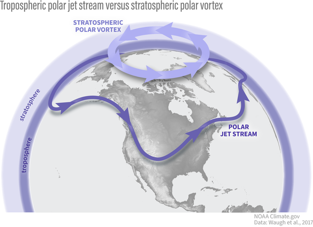Konzeptuelles Modell des stratosphärischen Polarwirbels unter normalen Bedingungen und des Polarjets. NOAA