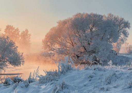 El Vórtice Polar traerá cambios a México en próximas semanas: probables condiciones frías en más de 20 entidades