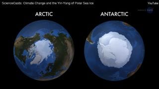 El Ying-Yang del hielo de los mares de los polos 
