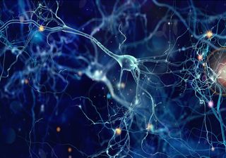 Investigación electrizante: los científicos imprimen con éxito en 3D una red neuronal activa