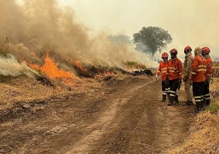 En 11 días, el Pantanal ya registró más del doble de incendios en comparación con todo el mes de septiembre de 2023