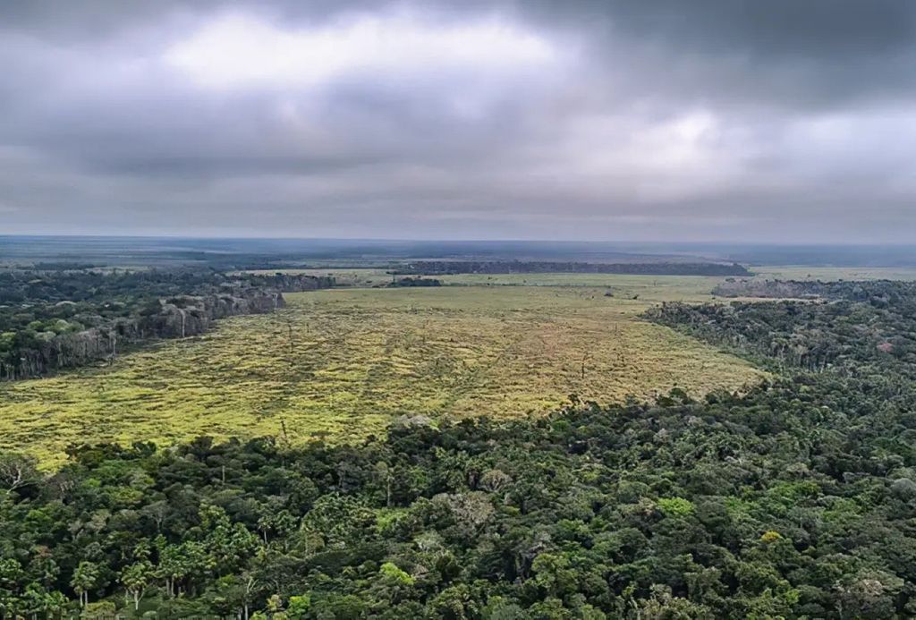 Dados são do relatório Mapbiomas divulgado nesta segunda (15)