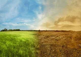 Em dezembro aumentou a intensidade da seca em algumas regiões do Sul