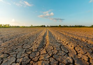 Seca agravou significativamente em janeiro em Portugal continental