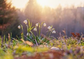 Março com nova diminuição da percentagem de água no solo em Portugal