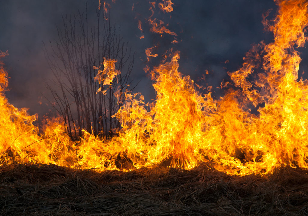 incendios