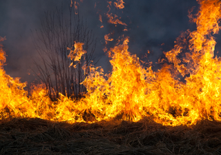 Emergência decretada! Amazonas é o estado que mais queimou em setembro com número de incêndio que passa de 4 mil