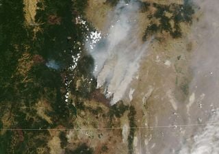 Emergencia: Hemisferio Norte es arrasado por los incendios forestales