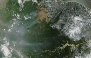 Las mayores emisiones de incendios forestales en febrero de 2024 se produjeron en Brasil, Venezuela y Bolivia