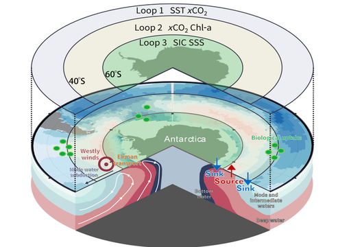 Los científicos identifican mayores emisiones invernales de dióxido de carbono procedentes del océano Austral