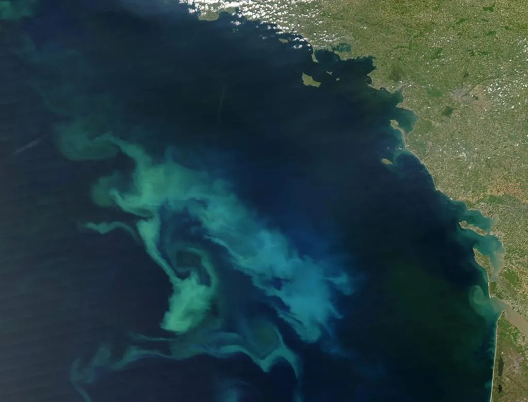 Un estudio descubre que las emisiones del plancton ayudan a formar n&uacute;cleos de nubes sobre los oc&eacute;anos fr&iacute;os del mundo