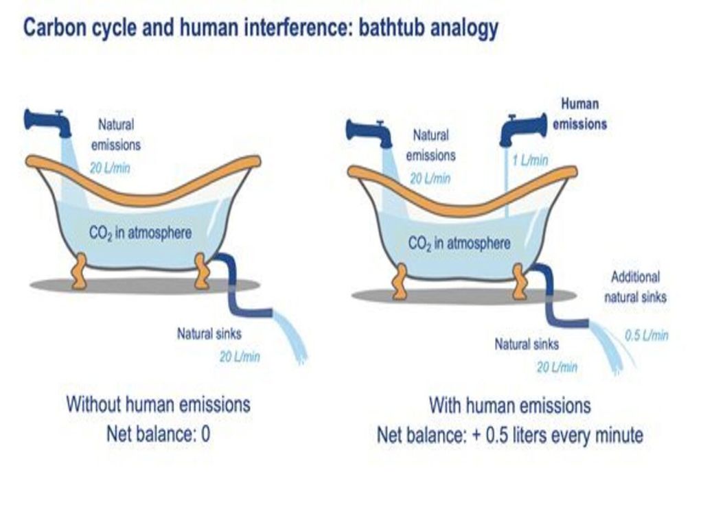 Il ciclo del carbonio e l'intervento umano: l'analogia della vasca da bagno.