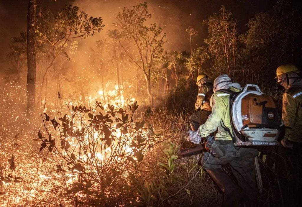 Lucha contra los incendios forestales en Brasil