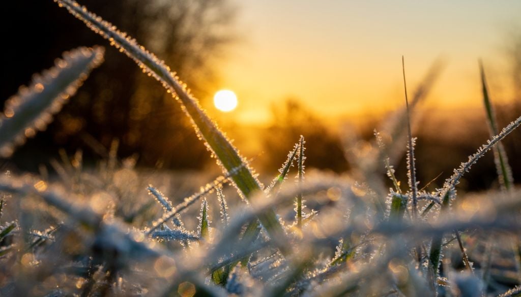 Invierno, solsticio Aunque el calendario astronómico decreta el inicio de la estación en junio, el invierno real se hace esperar.