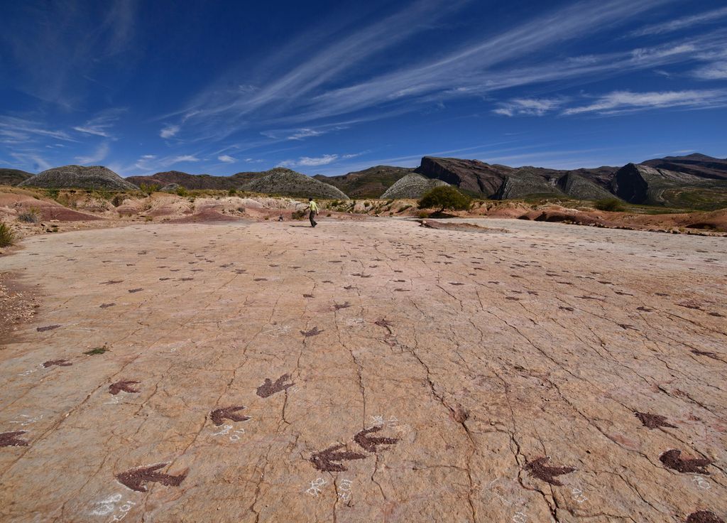 Empreinte dinosaure Italie JO Hiver