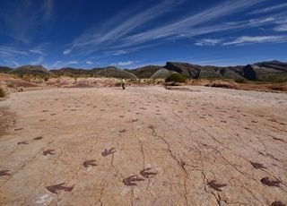 Empreintes de dinosaures sur un site des prochains JO d'hiver : la comp&eacute;tition d&eacute;plac&eacute;e ?