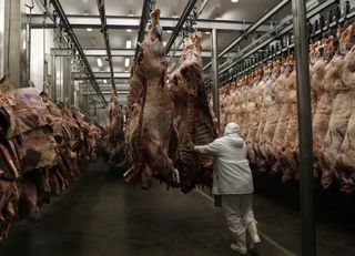 Empresa brasileira é a maior poluidora do planeta no setor de carne; confira a lista