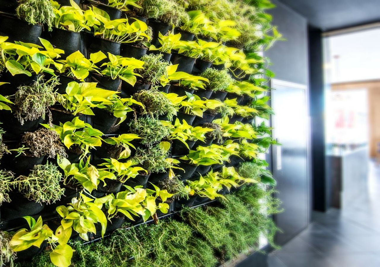 Green Upp - Mur végétal artificiel haute qualité intérieur & extérieur