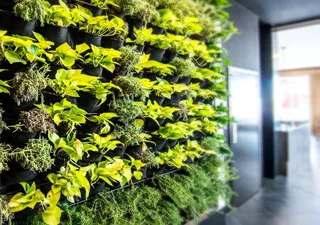 Empresa finlandesa crea los muros verdes más inteligentes del mundo