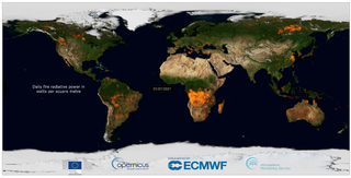 En 2021 los incendios forestales provocaron una devastación generaliza