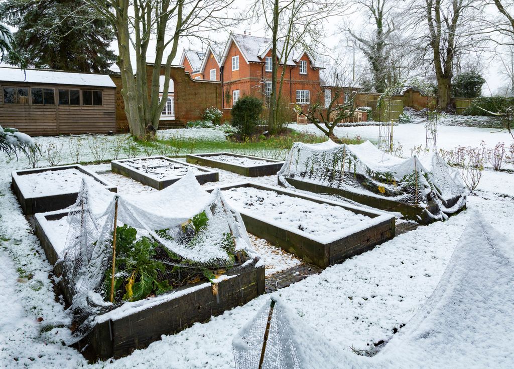 Avec l'arrivée du froid et parfois des premiers flocons, quelques tâches sont encore à réaliser au potager.