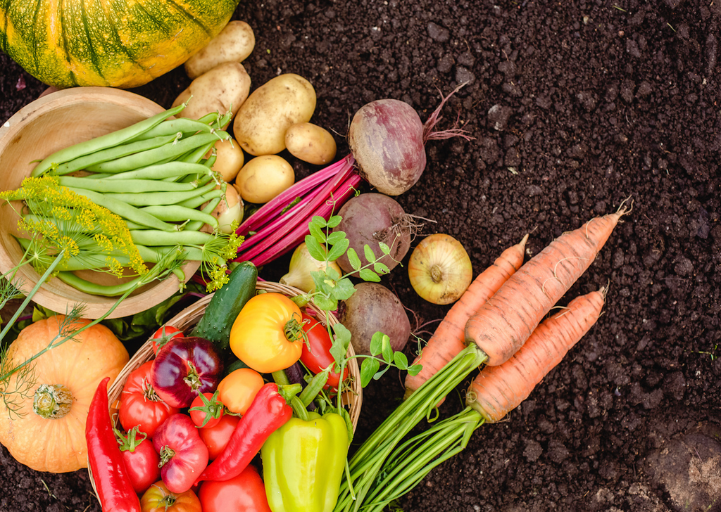 Préparer son potager en avance permet d'optimiser les cultures.