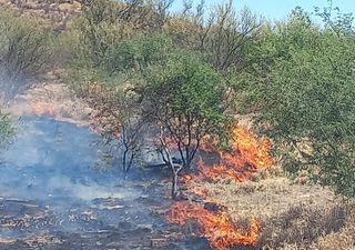 19,512 hectáreas quemadas en Durango hasta ahora ¡cuidemos nuestros bosques!