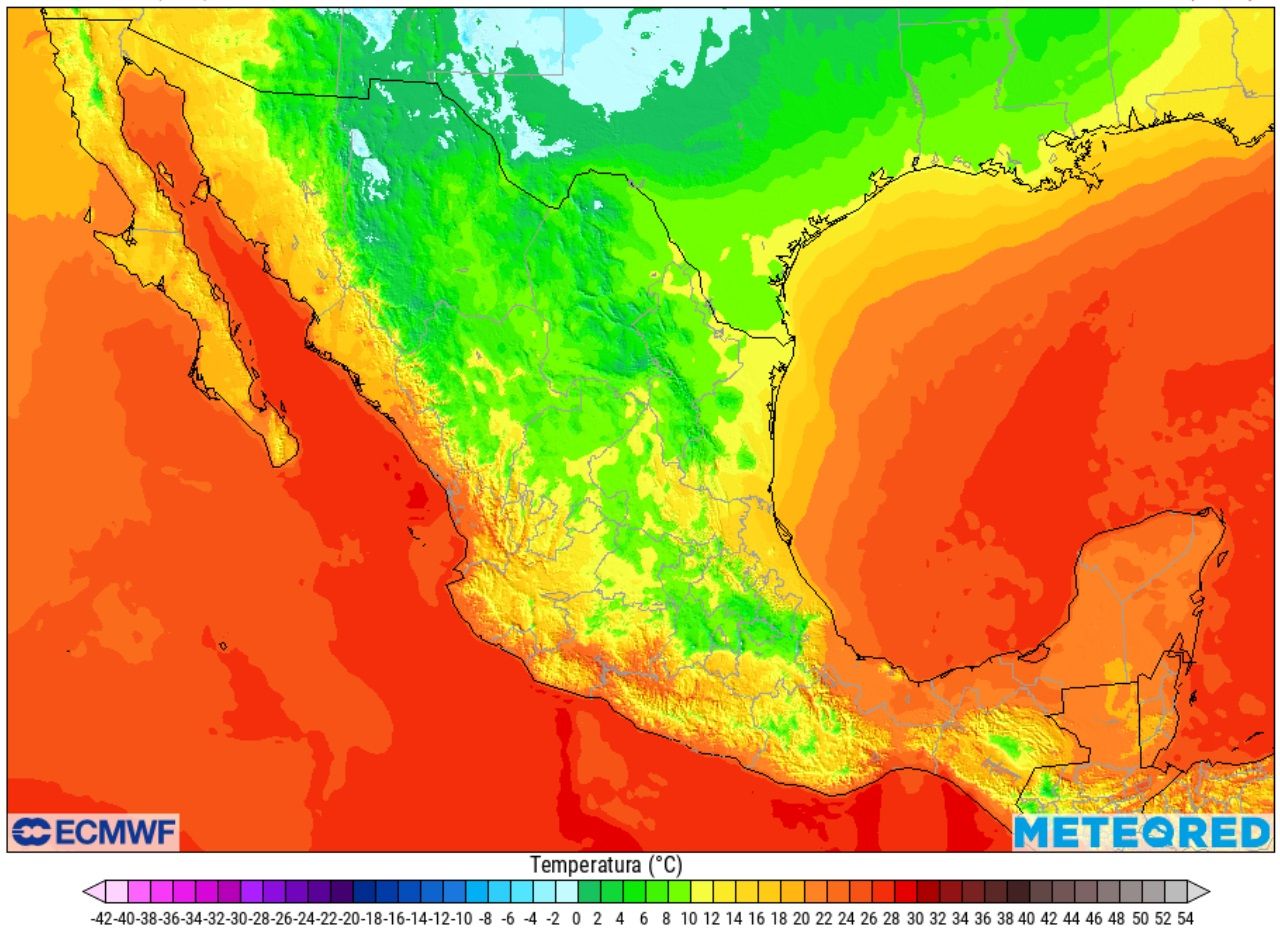 La intensa masa de aire polar que impulsa al frente frío número 9, dejará muy notable descenso en el valor de las temperaturas.