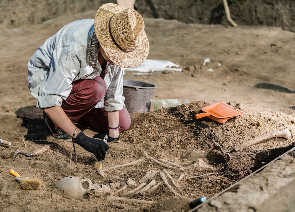 Archéologie Anthropologie Os Cannibalisme Espagne