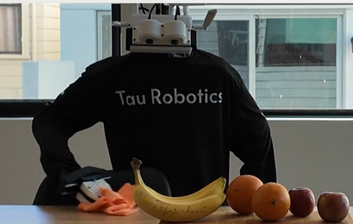 En Estados Unidos ya se utilizan robots para las tareas del hogar por 30 d&oacute;lares la hora