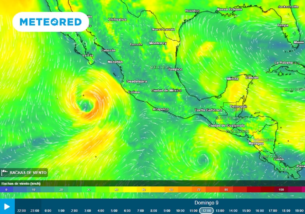 Modelo ECMWF - Ráfagas de viento en km/h