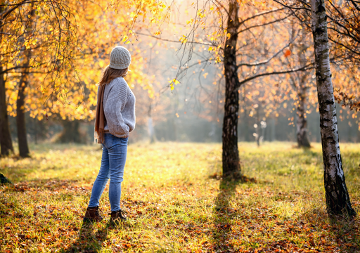 En la cuenta regresiva para recibir el oto&ntilde;o: el d&iacute;a y la hora del pr&oacute;ximo equinoccio en Chile