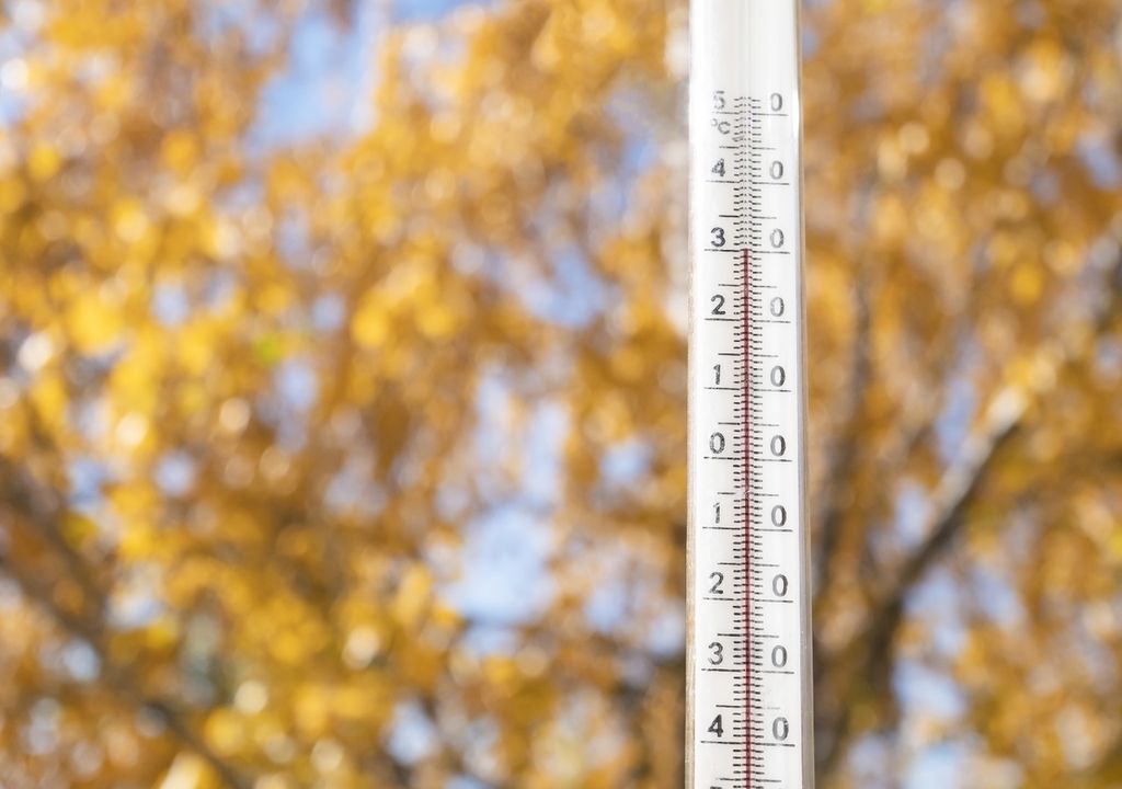 árbol hojas secas; otoño; termómetro 30 ºC árbol hojas secas; otoño; termómetro 30 ºC