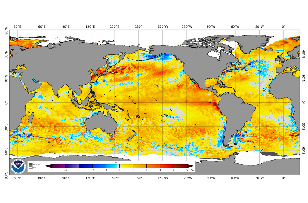 Anomalías diarias de la temperatura superficial del mar del día 19 de mayo de 2026. Fuente: NOAA Coral Reef Watch.