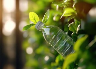 En Normandie, on peut désormais planter... du plastique ! À quoi cela peut-il servir ?