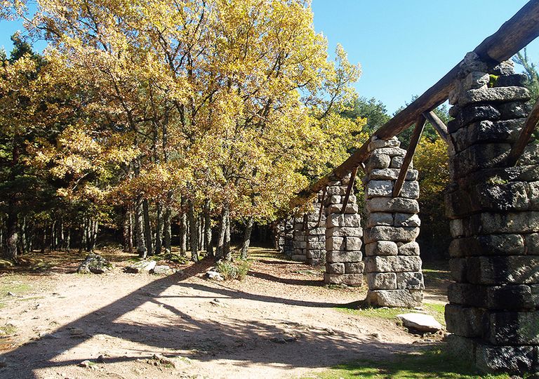 Bosque de Valsaín y El Puente de los Canales, Segovia, España. Bosque de Valsaín y El Puente de los Canales, Segovia, España.