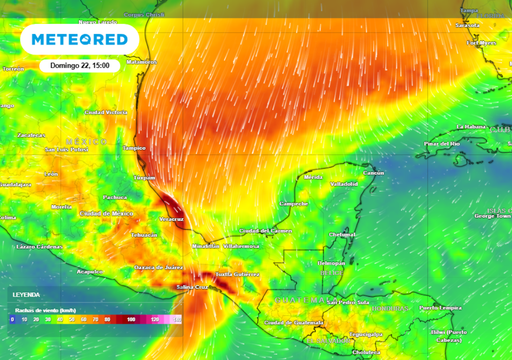 En todos estos estados llover&aacute; y habr&aacute; viento fuerte: Estos efectos pronostica Meteored por el frente fr&iacute;o 37