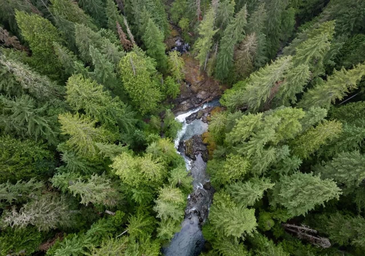 Sigue leyendo para conocer un ejemplo perfecto de cómo la gestión forestal puede combinar funcionalidad y creatividad