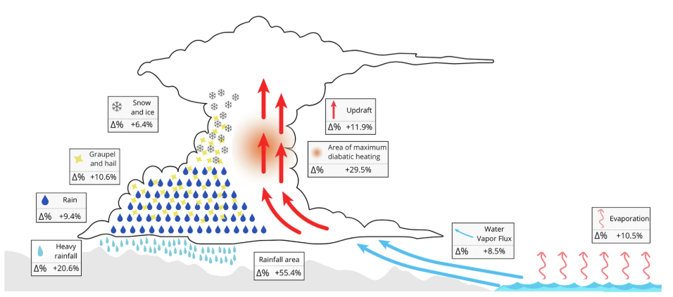 Las lluvias intensas se intensifican debido al mayor contenido de humedad, lo que incrementa la liberación de calor latente y provoca movimientos verticales positivos más intensos. Estos cambios promueven procesos microfísicos más intensos, lluvias intensas más intensas (6 h) y un aumento de la superficie total de lluvia. Crédito: Calvo-Sancho, et al., Nature communications. https://www.nature.com/articles/s41467-026-68929-9
